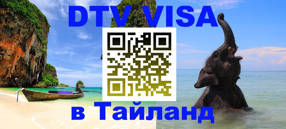 Сколько стоит DTV виза — актуальные цены, оформление даже без документов - 10.01.2026 